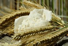 Właściwości starych odmian zbóż